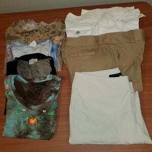 6 Women Tops & Pants Brand Names Bundle cache, Inc. Give best offerPants size 8